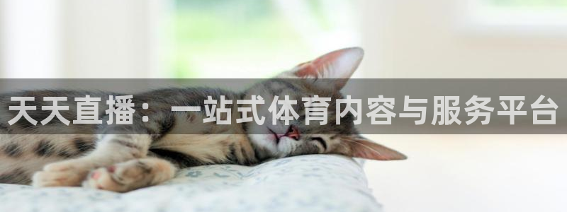 919直播间官网：天天直播：一站式体育内容与服务平台