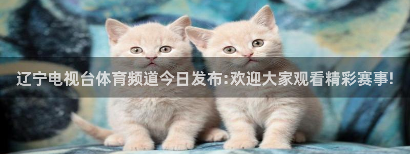 919体育直播间：辽宁电视台体育频道今日发布:欢迎大家观看精彩赛事!