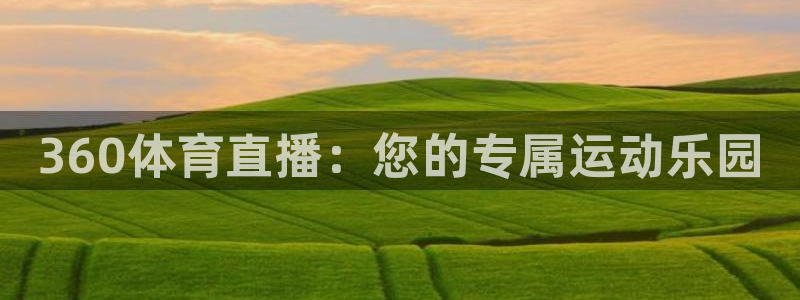 919看球直播官网入口：360体育直播：您的专属运动乐园