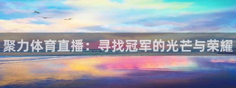 919体育直播