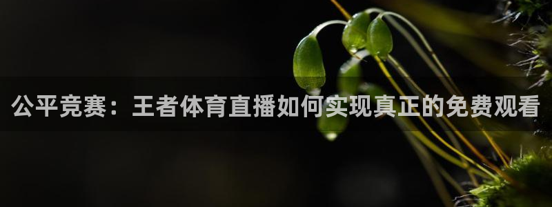 919体育直播平台：公平竞赛：王者体育直播如何实现真正的免费观看