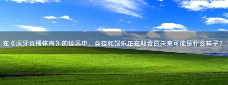 919zb体育直播：在《虎牙直播体育》的世界中，竞技和娱乐正在融合的未来可能是什么样子？