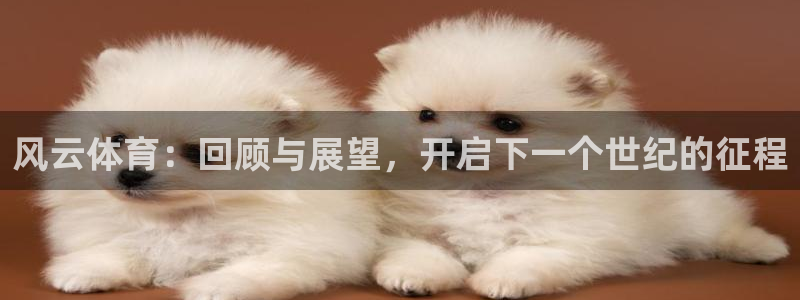 足球直播919：风云体育：回顾与展望，开启下一个世纪的征程