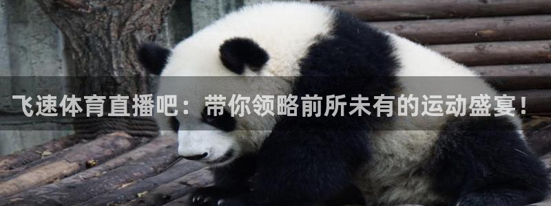 919足球直播 01篮球直播：飞速体育直播吧：带你领略前所未有的运动盛宴！