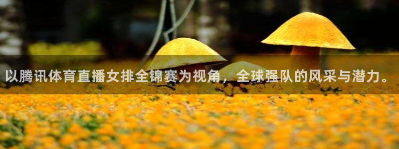 919直播间官网：以腾讯体育直播女排全锦赛为视角，全球强队的风采与潜力。