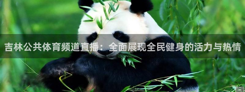 919直播足球：吉林公共体育频道直播：全面展现全民健身的活力与热情