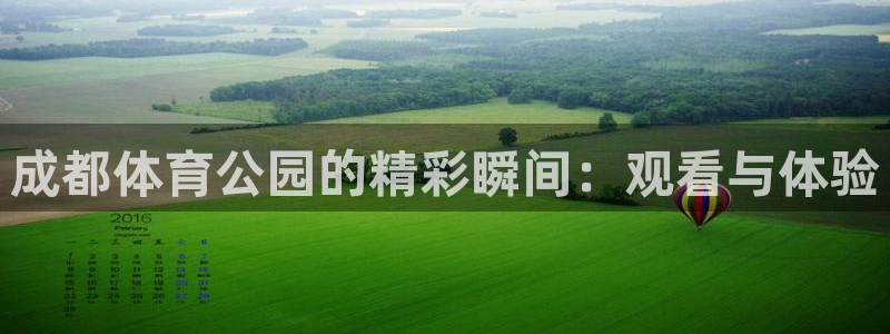 919看球直播官网入口：成都体育公园的精彩瞬间：观看与体验