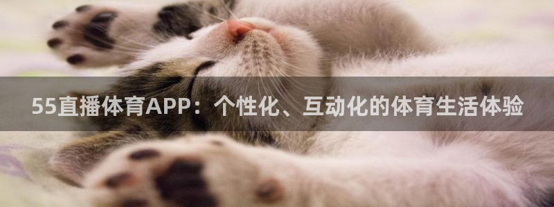 919nba直播篮球比赛：55直播体育APP：个性化、互动化的体育生活体验