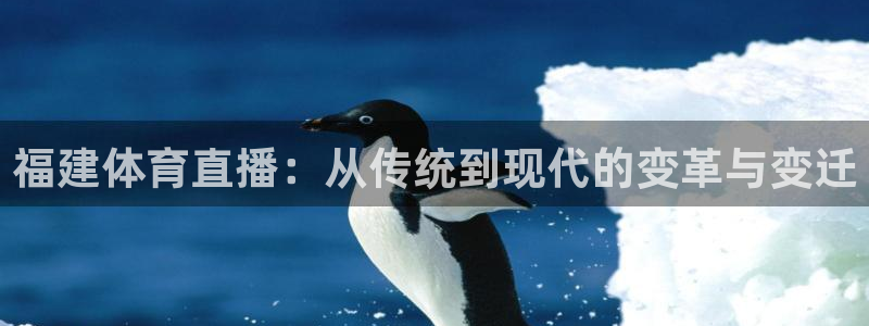 919体育直播app：福建体育直播：从传统到现代的变革与变迁