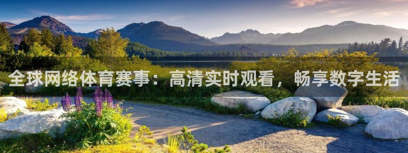 919直播体育：全球网络体育赛事：高清实时观看，畅享数字生活