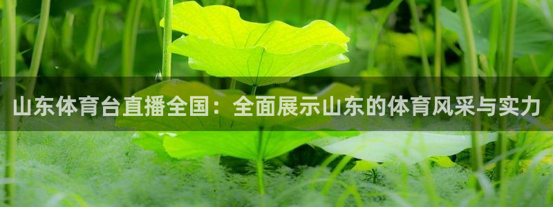 919直播吧体育：山东体育台直播全国：全面展示山东的体育风采与实力