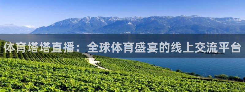 919体育直播安卓版：体育塔塔直播：全球体育盛宴的线上交流平台